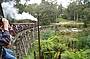 Puffing Billy Train Ride