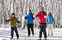 Lake Mountain Snow and Waterfalls Tour - departing Melbourne