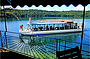 Lake Barrine Cruise (Optional)